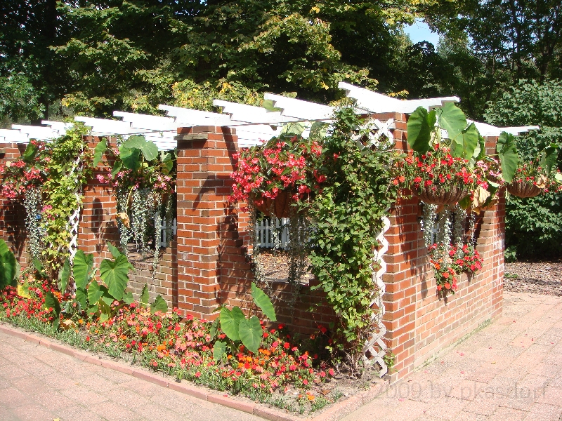 Western Michigan [2009] 493.JPG - Scenes from Windmill Island in Holland, Michigan.